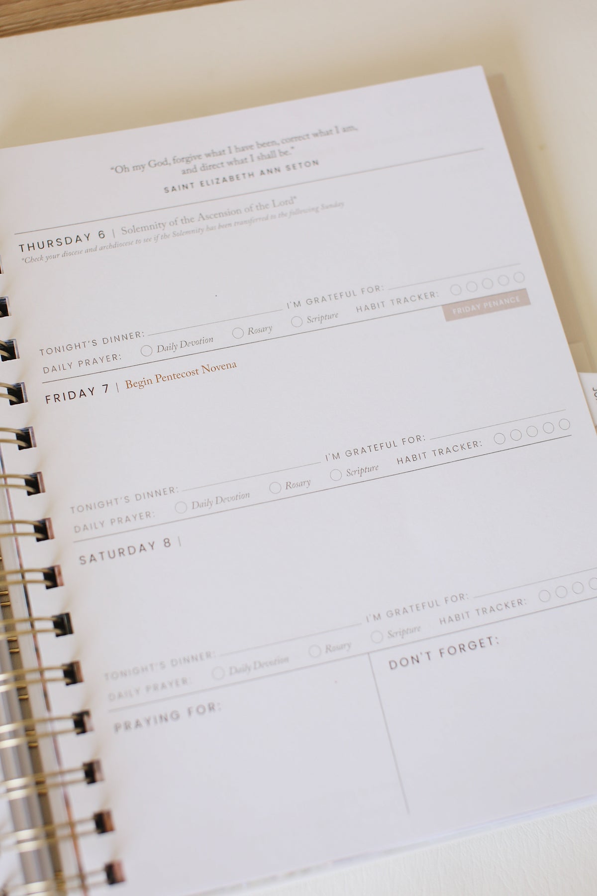 2027 Calendar Year Catholic Liturgical Planner // Mini Layout
