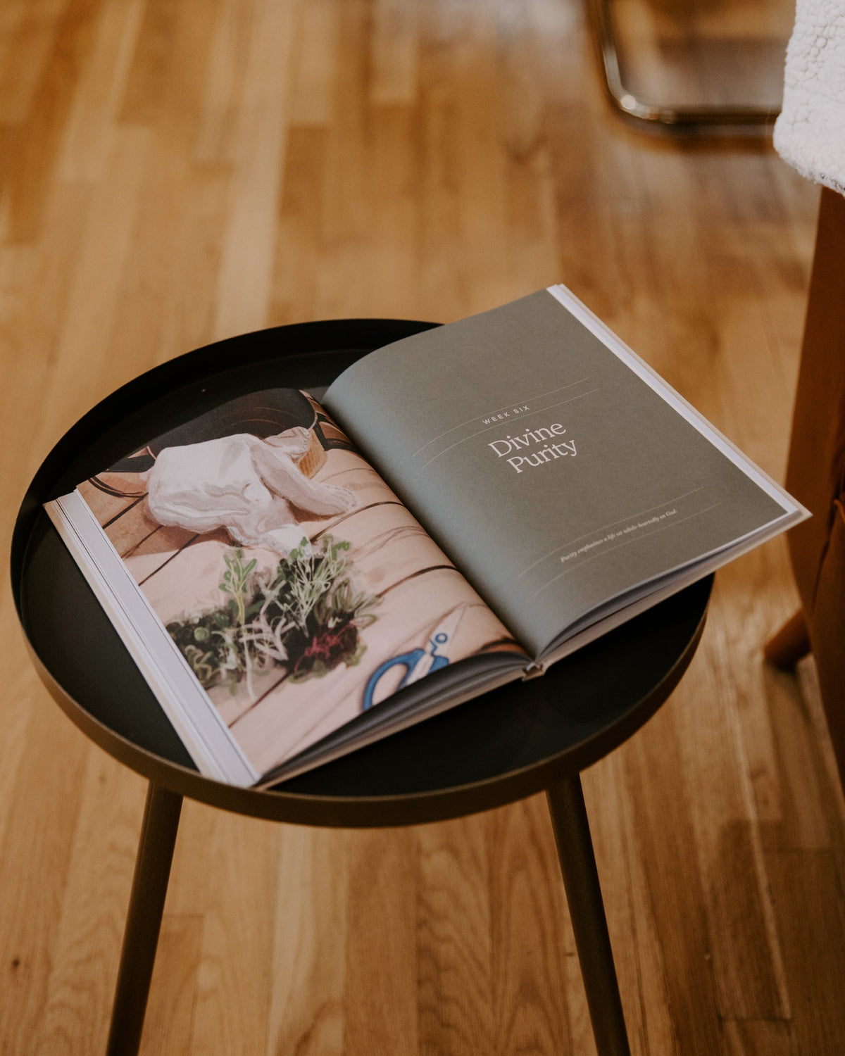 Blessed Is She Home Study on the Ten Virtues of Mary