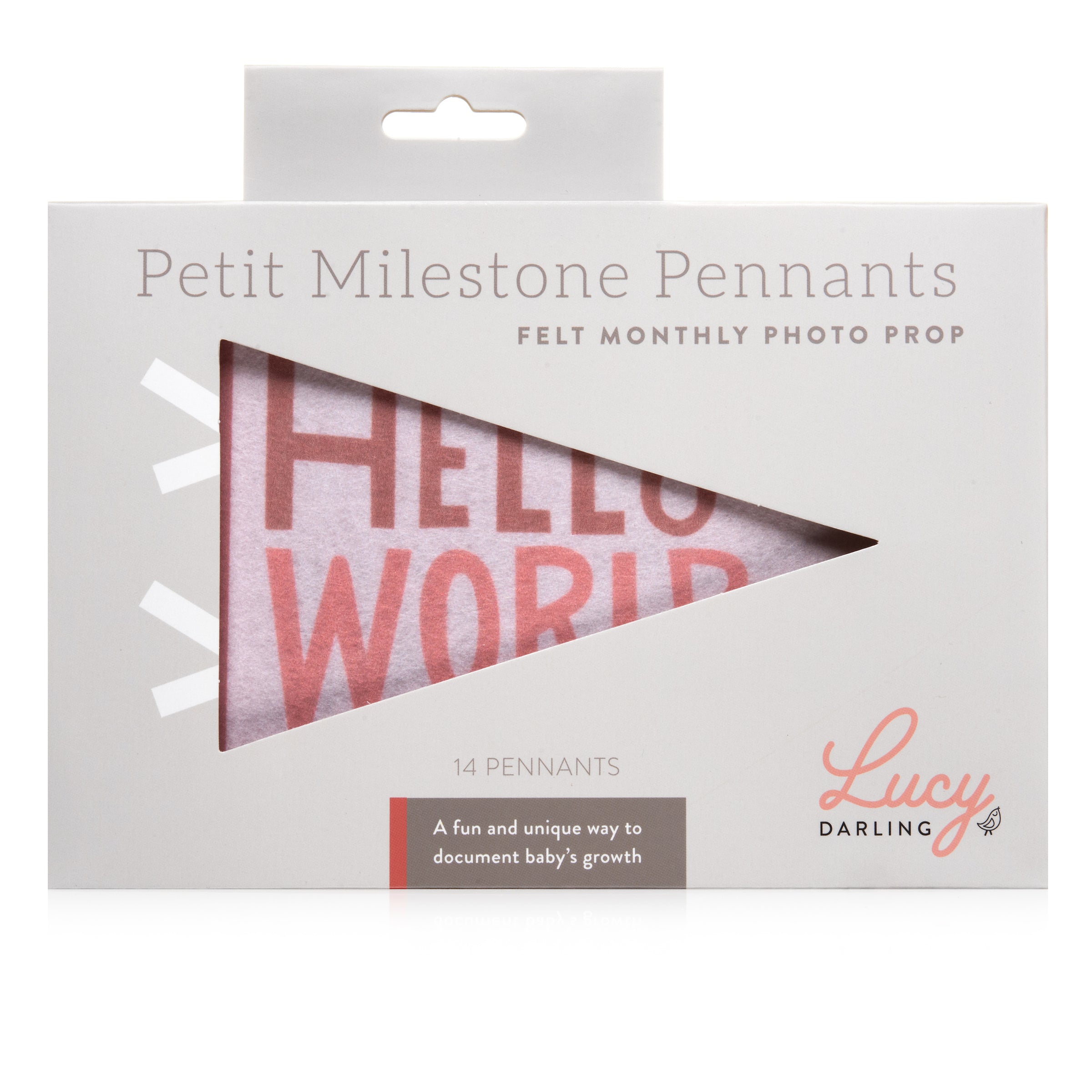 Blushing Meadow Petit Baby Milestone Pennant