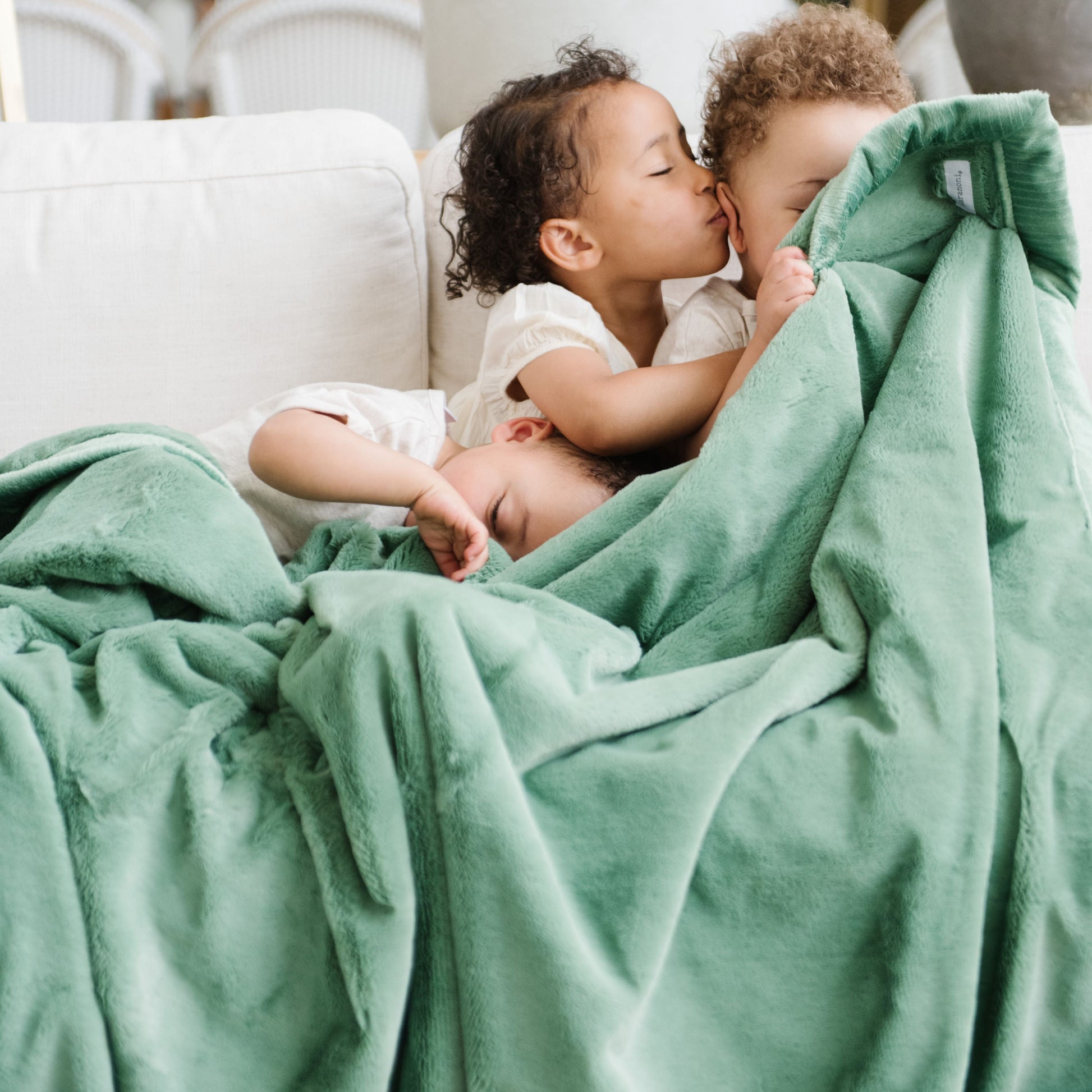 Lush Toddler Blanket
