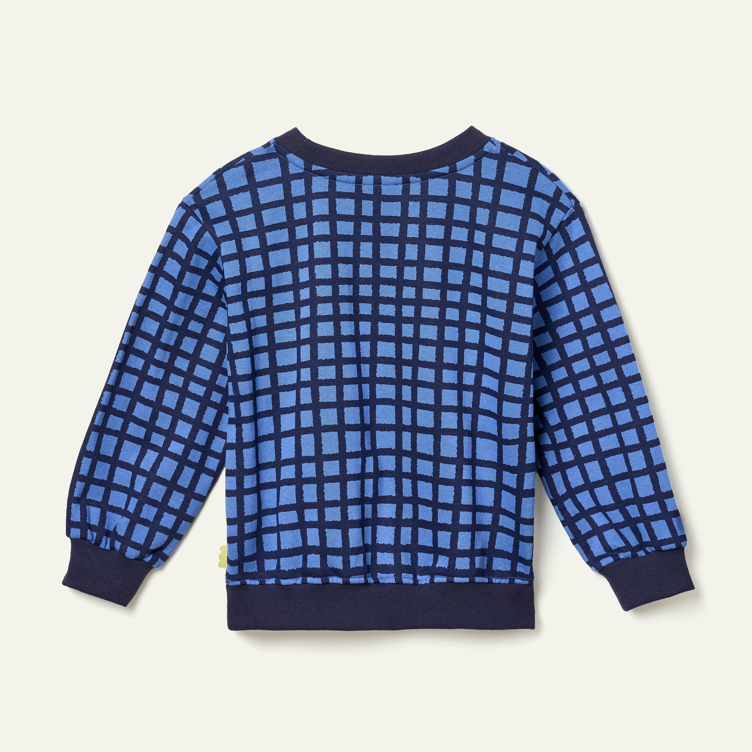 Recycled Cotton Blue Grid Sweatshirt