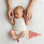 Blushing Meadow Petit Milestone Pennant