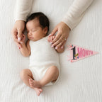 Little Artist Petit Milestone Pennants
