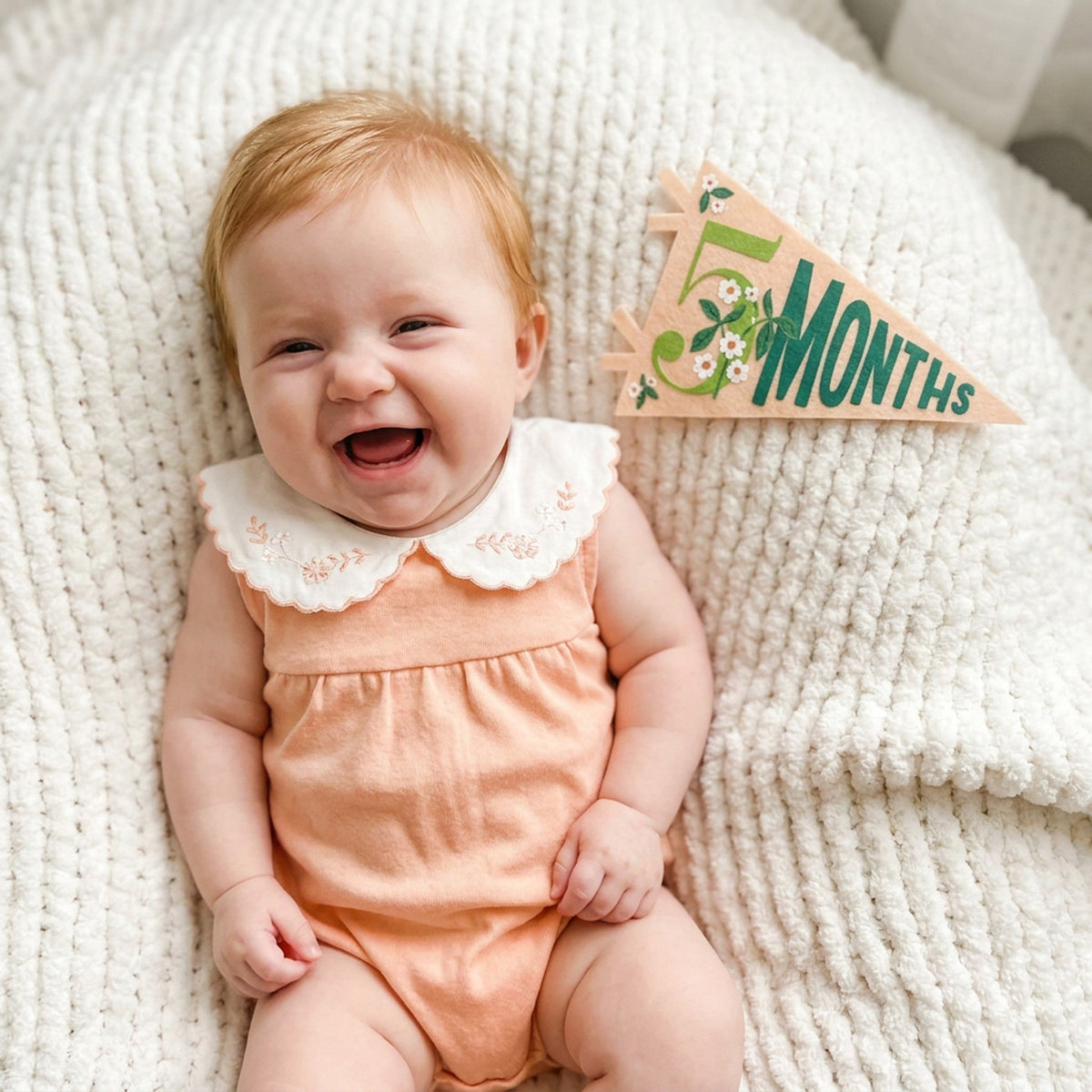 Little Artist Petit Milestone Pennants