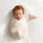 Mountain Fields Petit Milestone Pennant