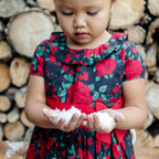 Ruffle Collar Party Dress