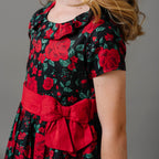 Ruffle Collar Party Dress