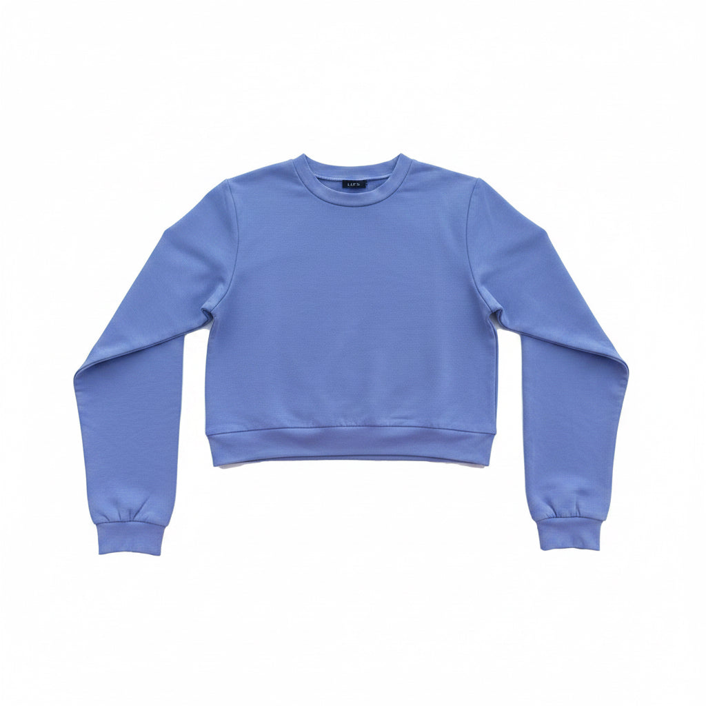 Blue Cropped Sweatshirt