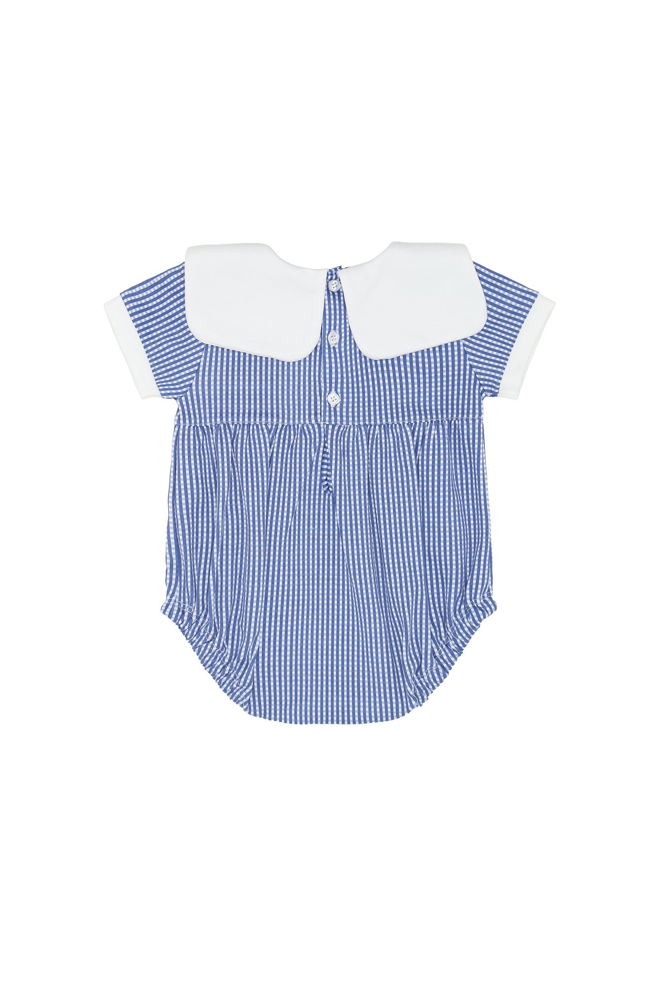 American Pups Square Collared Bubble