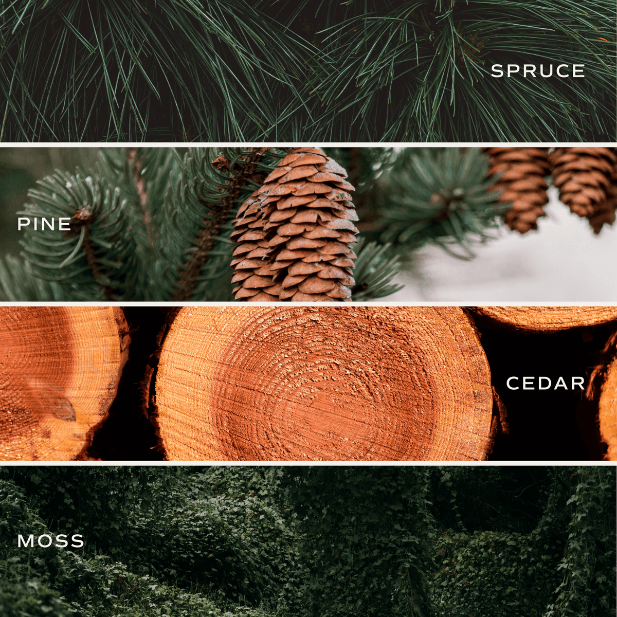 Christmas Tree Soy Candle - Amber Jar - 9 oz