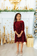 Cranberry Velvet Sequin Dress