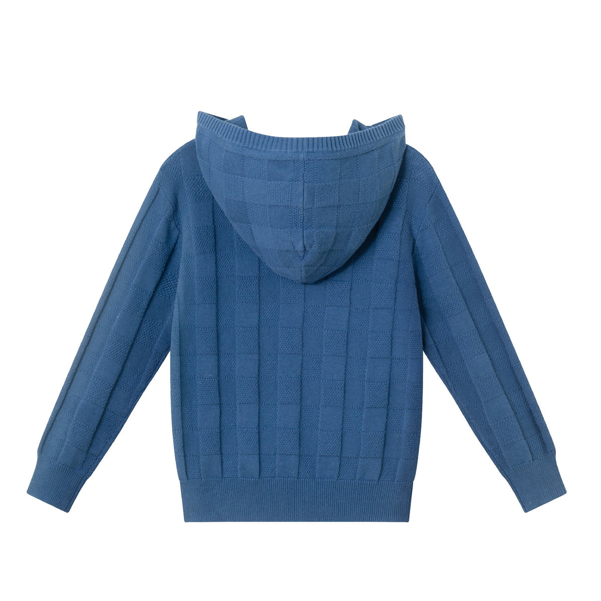 Kids Hooded Sweater | Blue Checkered