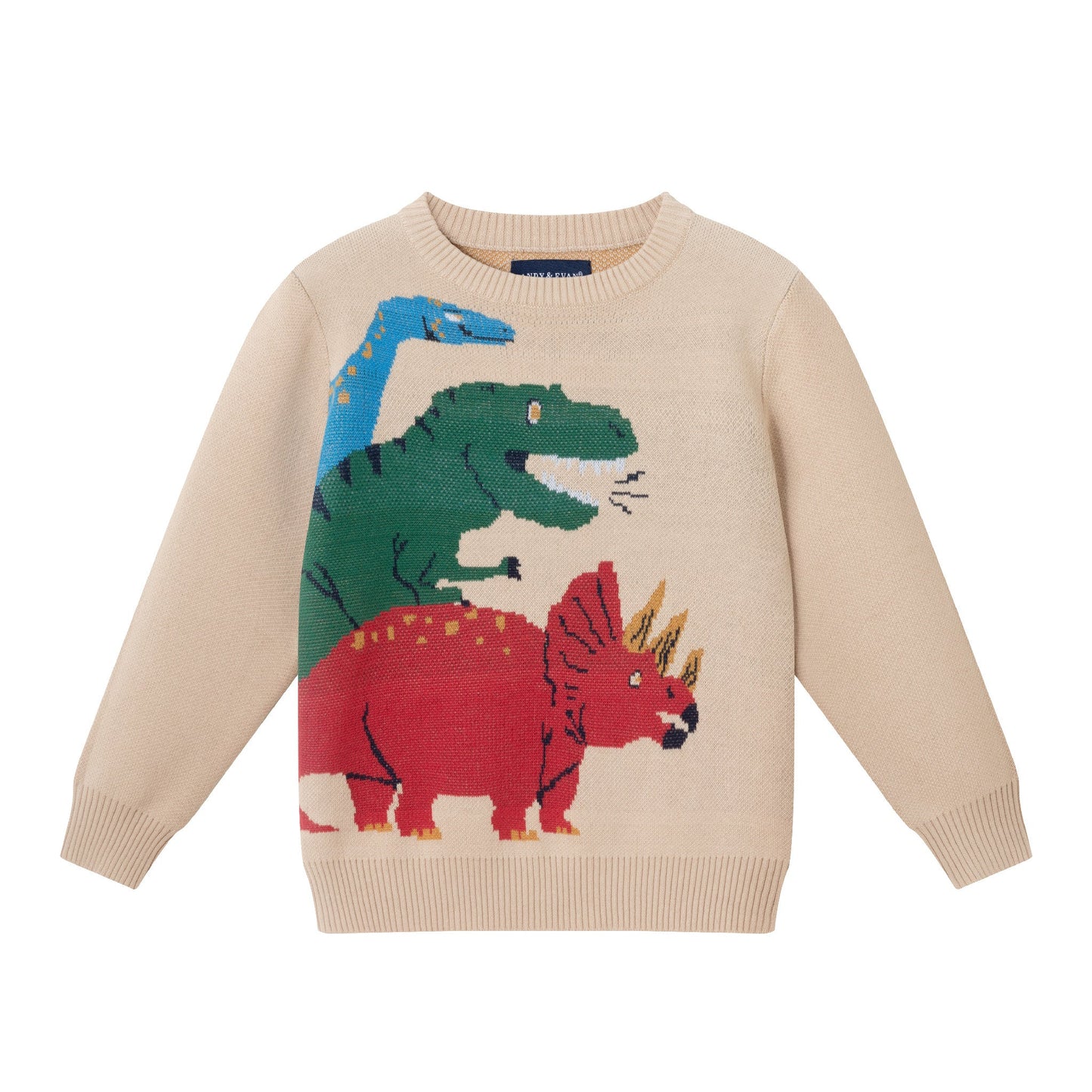 Kids Graphic Sweater | Triple Dino