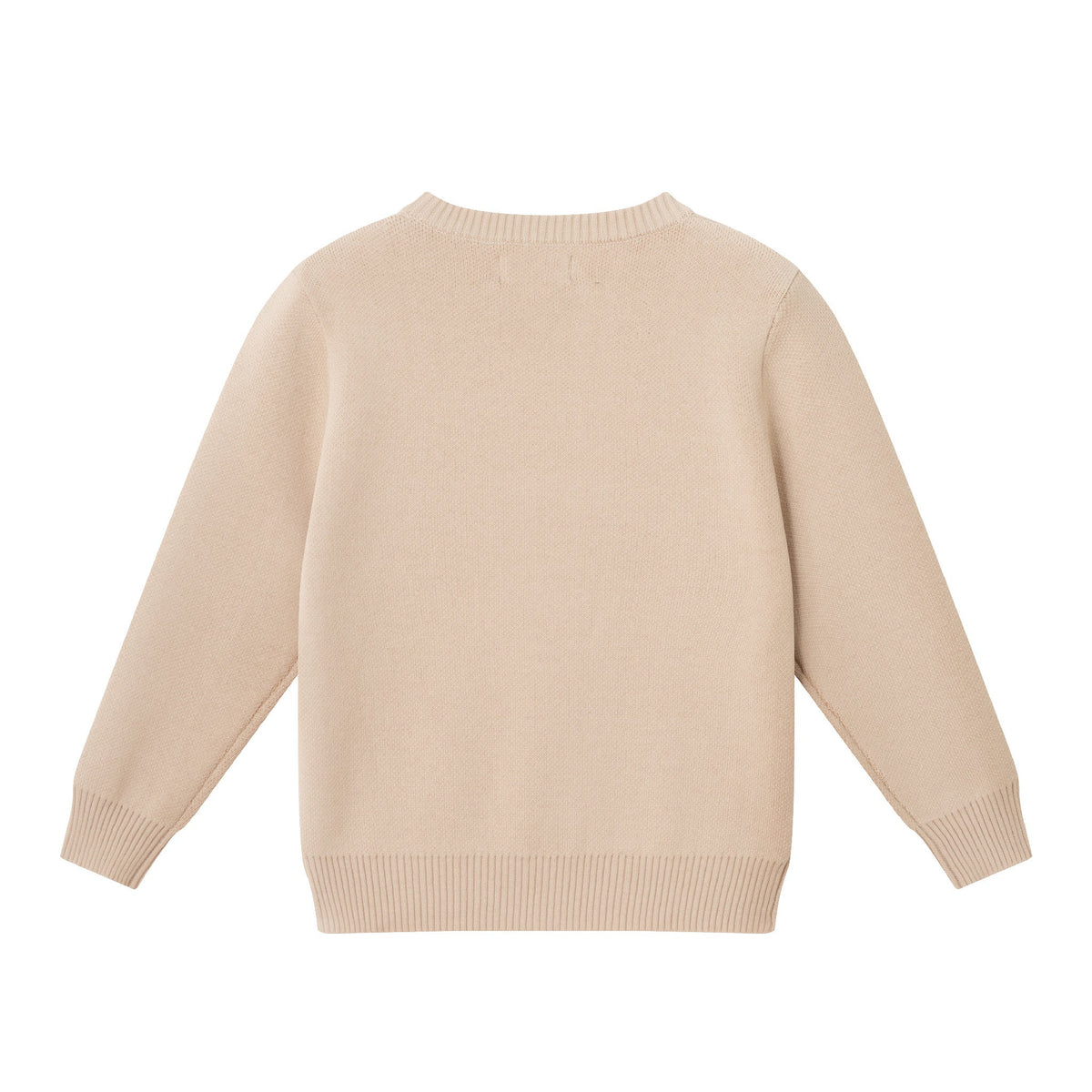 Kids Graphic Sweater | Triple Dino