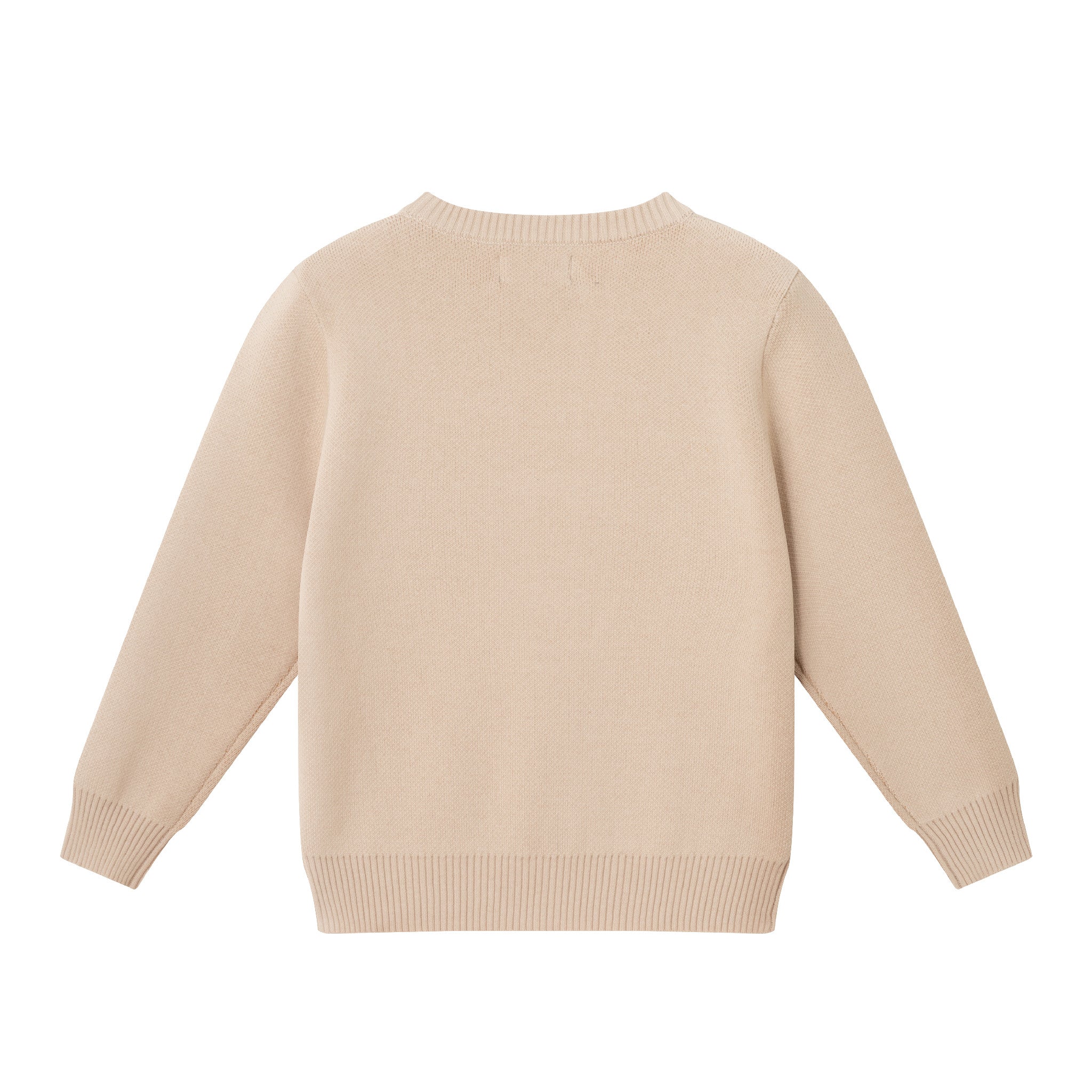 Kids Graphic Sweater | Triple Dino