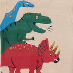 Kids Graphic Sweater | Triple Dino