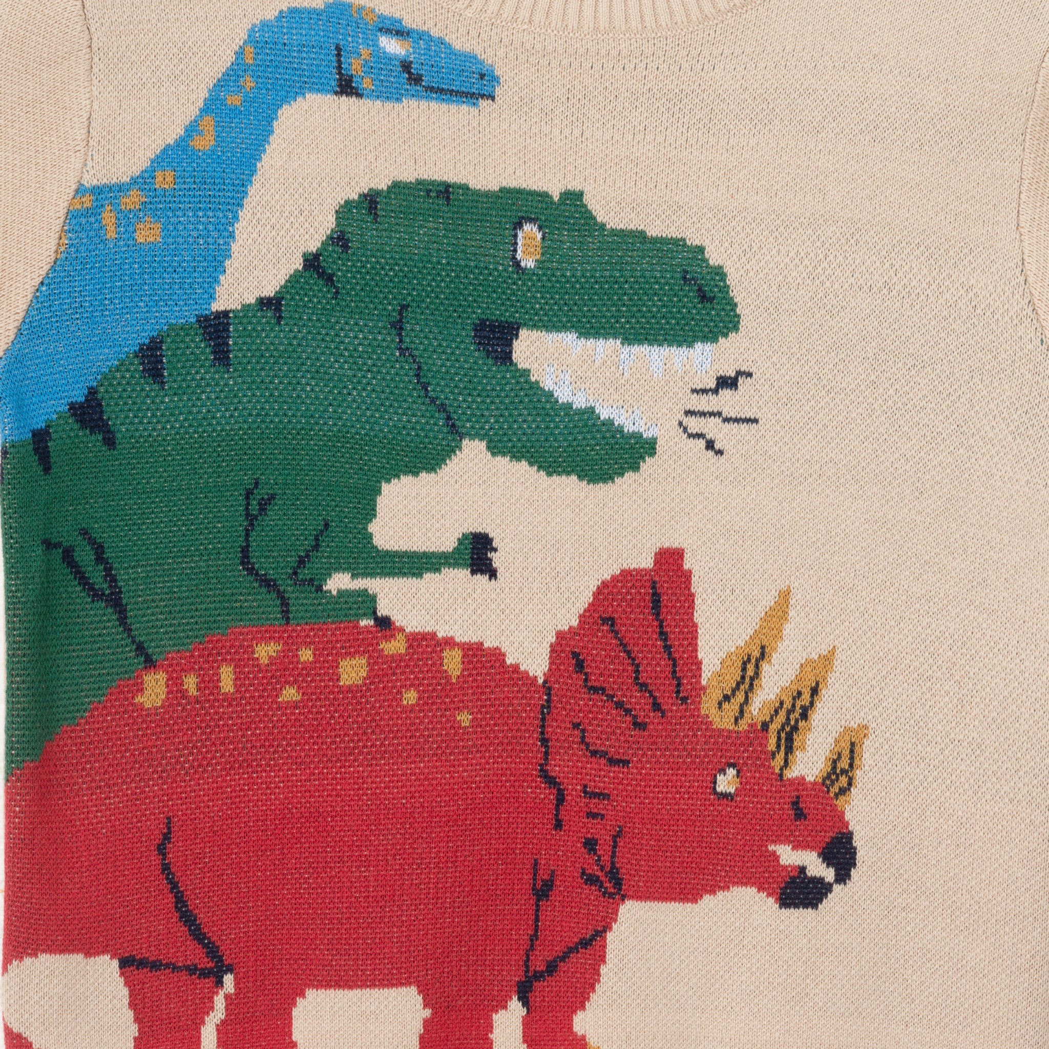 Kids Graphic Sweater | Triple Dino