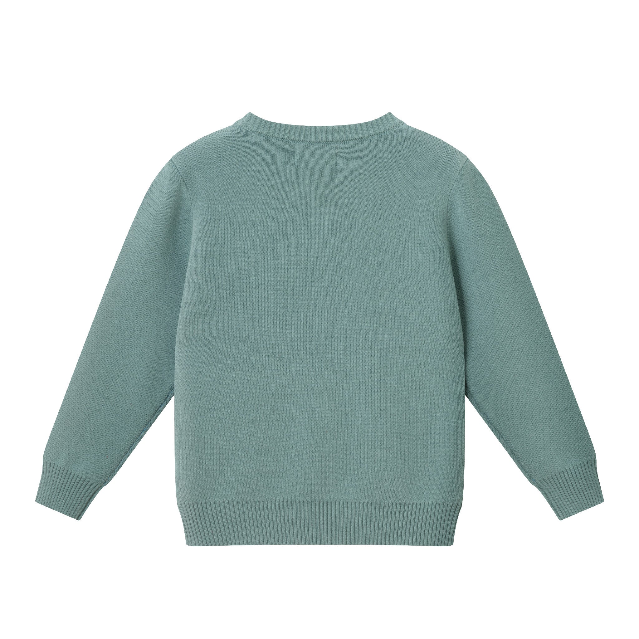 Kids Graphic Sweater | Green Camper