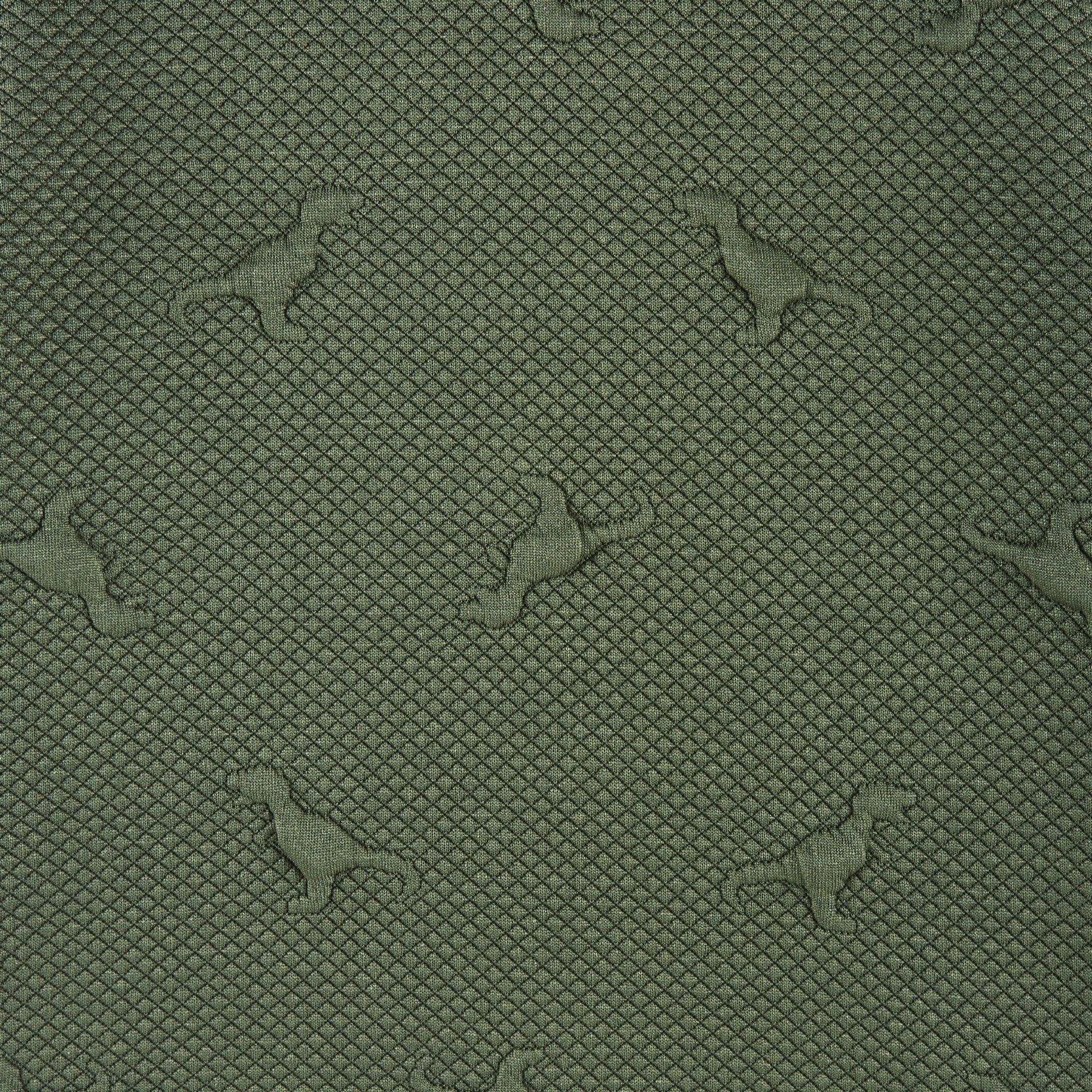 Kids Embossed Lounge Set | Green Dino