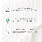 Organic Jersey Polo
