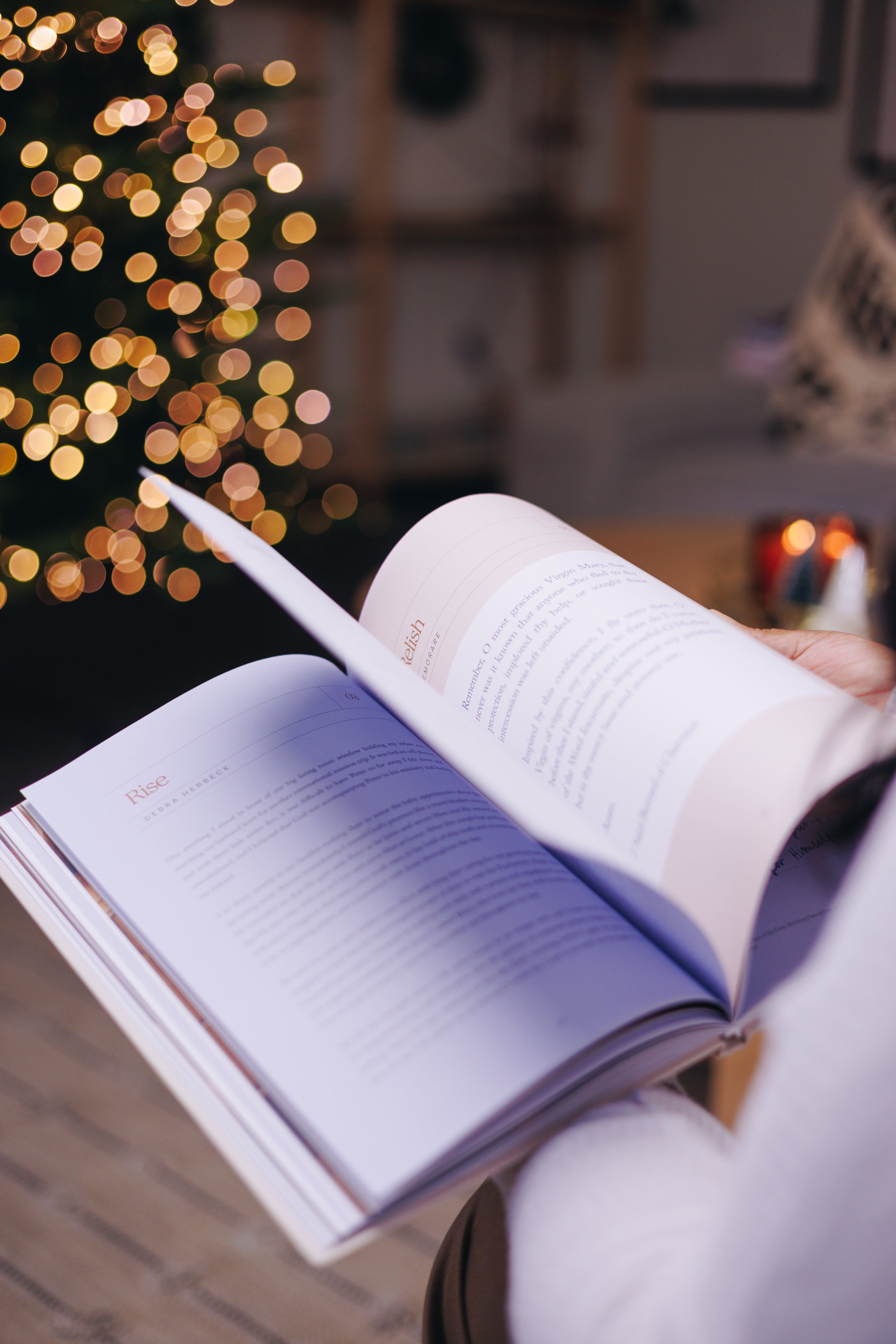 Home // Blessed Conversations Catholic Study on the Virtues of Mary