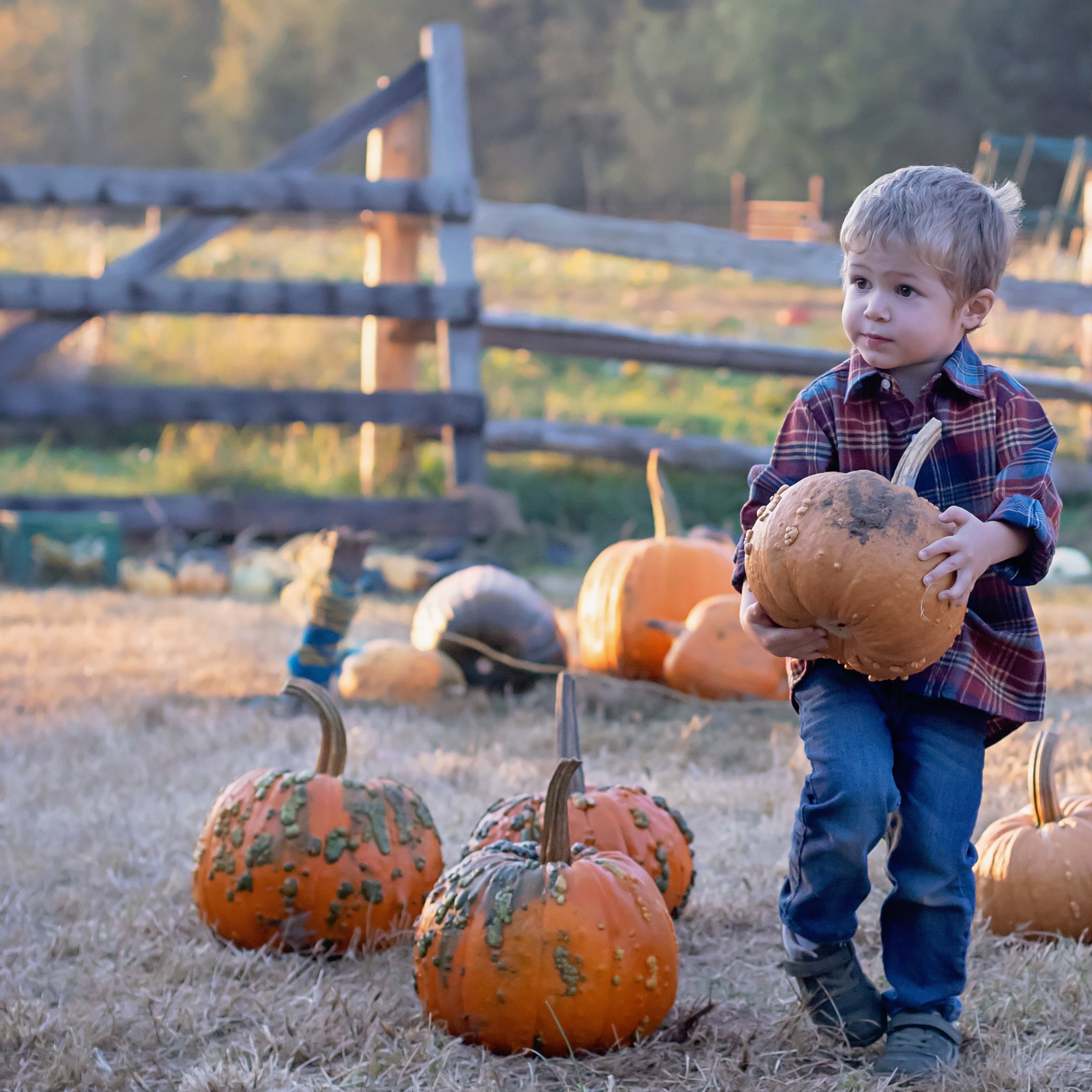Rust Plaid Button Down Shirt