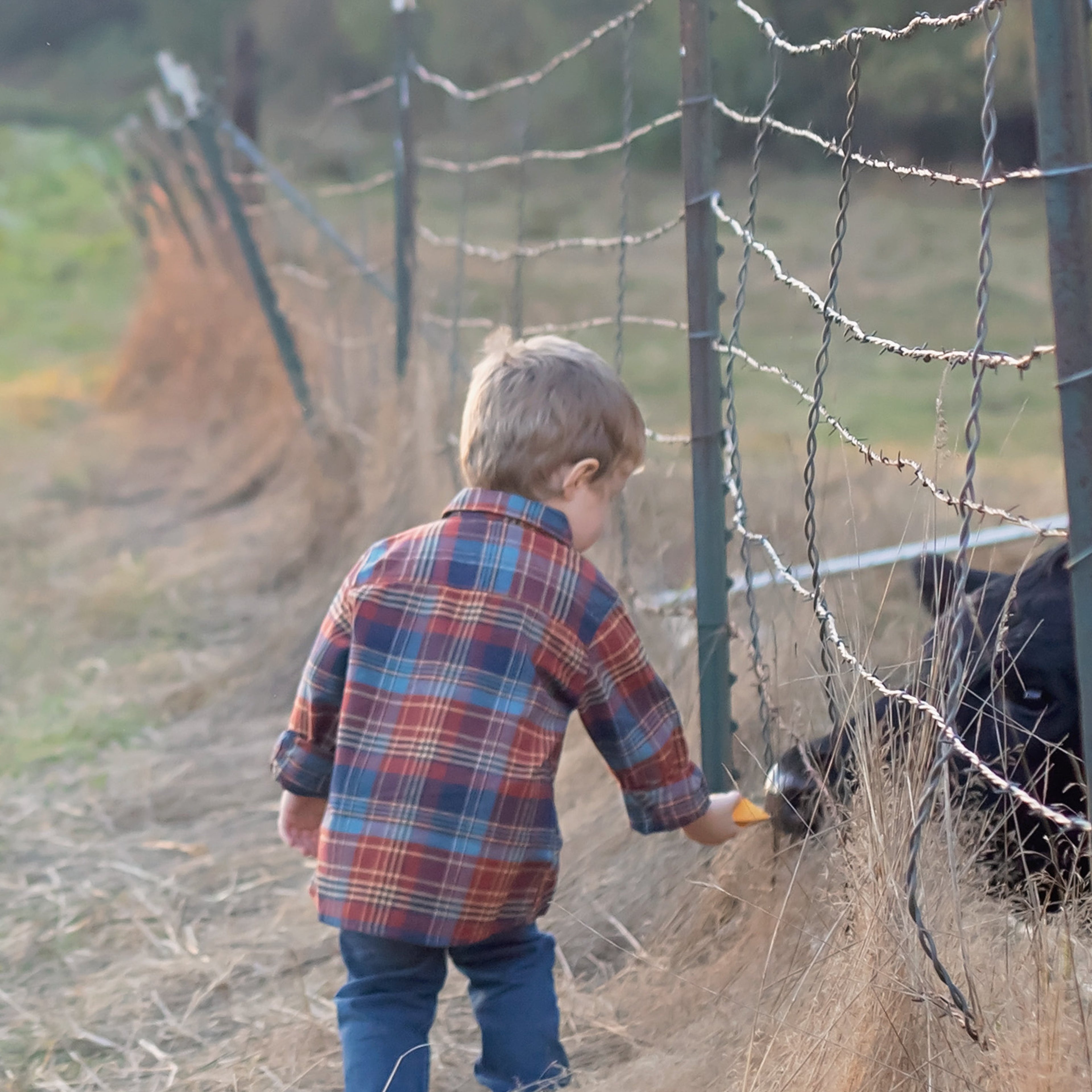 Rust Plaid Button Down Shirt