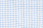 Baby Girl Gingham Pleated Bubble Romper, Blue