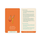 Bible Basics: Old Testament Flashcards