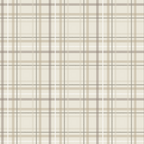 Minky Stretch XL Throw Blanket