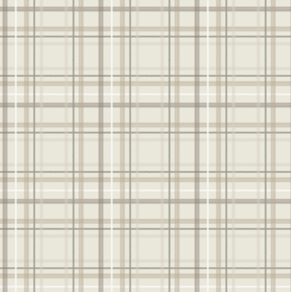 Minky Stretch XL Throw Blanket