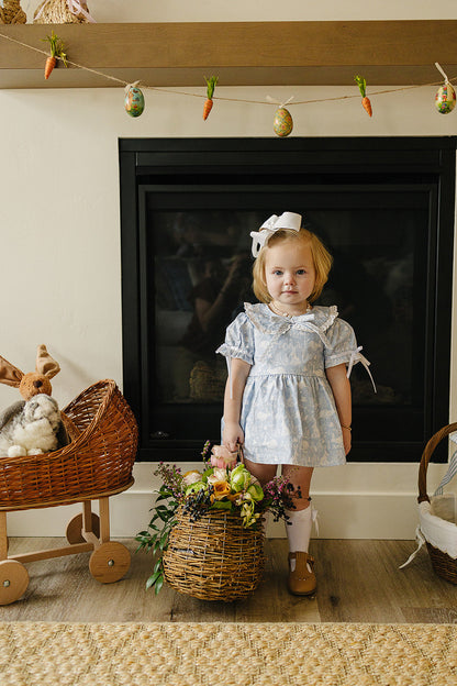 Baby Girl Blue Bunny Bloomer Set