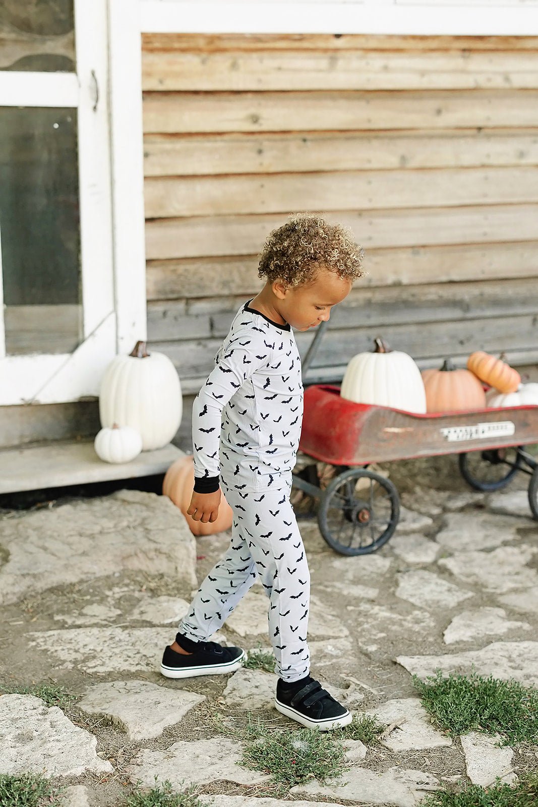 Bats Bamboo Pajama Set - Blissfully Lavender BoutiqueMebie Baby