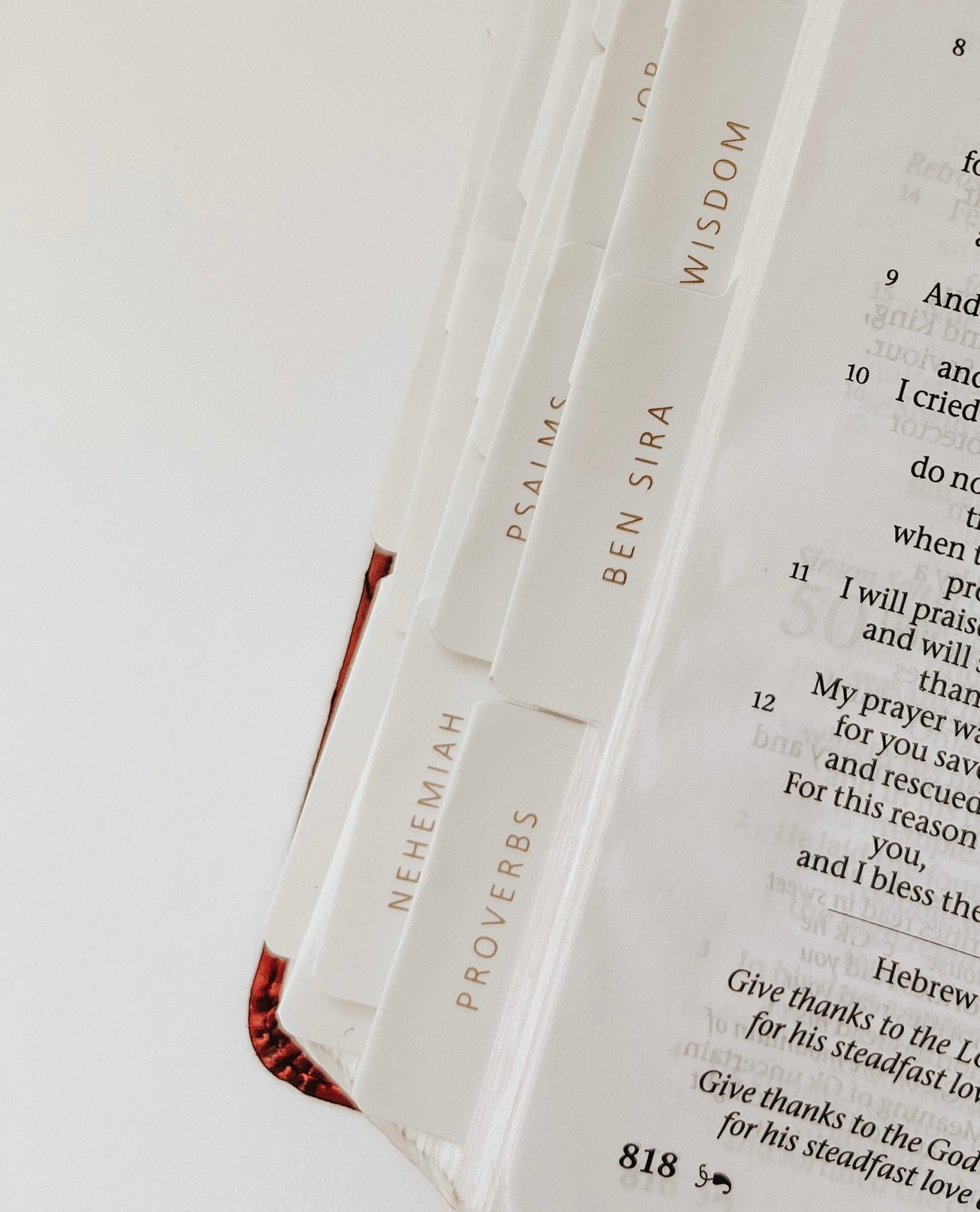 Catholic Bible Tabs – 73 Book Set