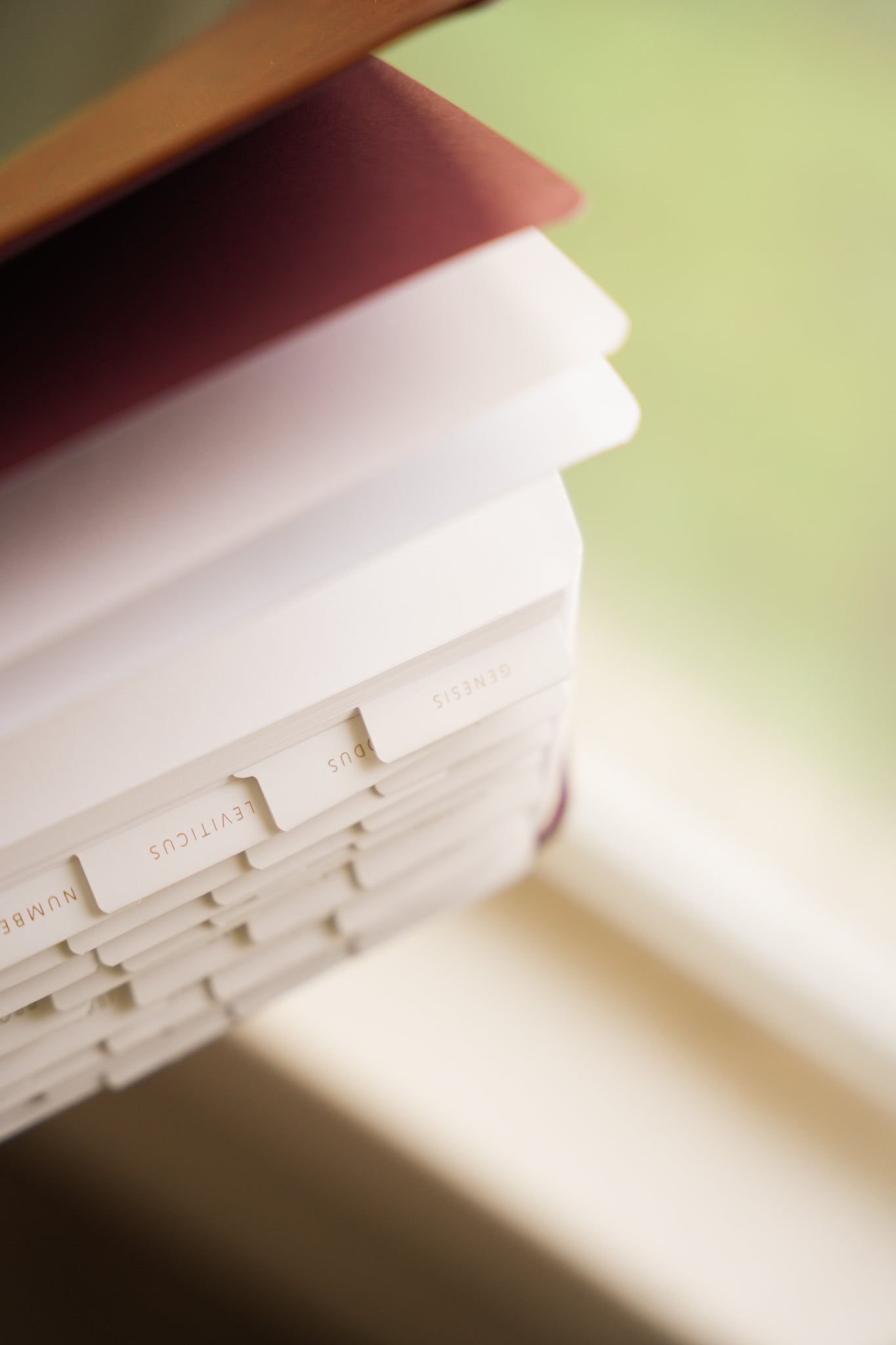Bible Study Tabs for Women | Organize Your Scripture