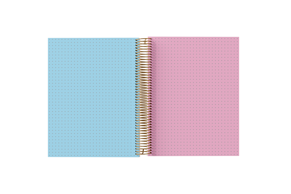Dotted Grid Notebook - Holographic