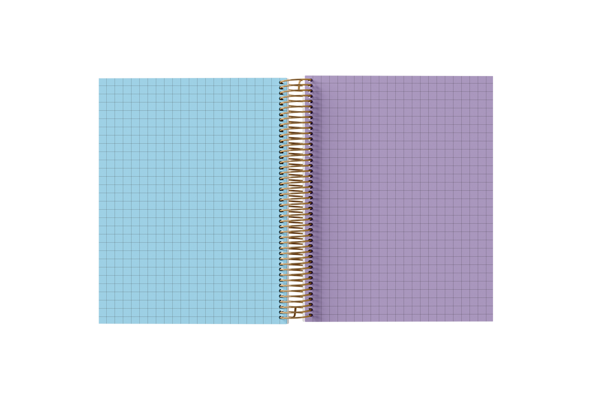 Graph Holographic Notebook