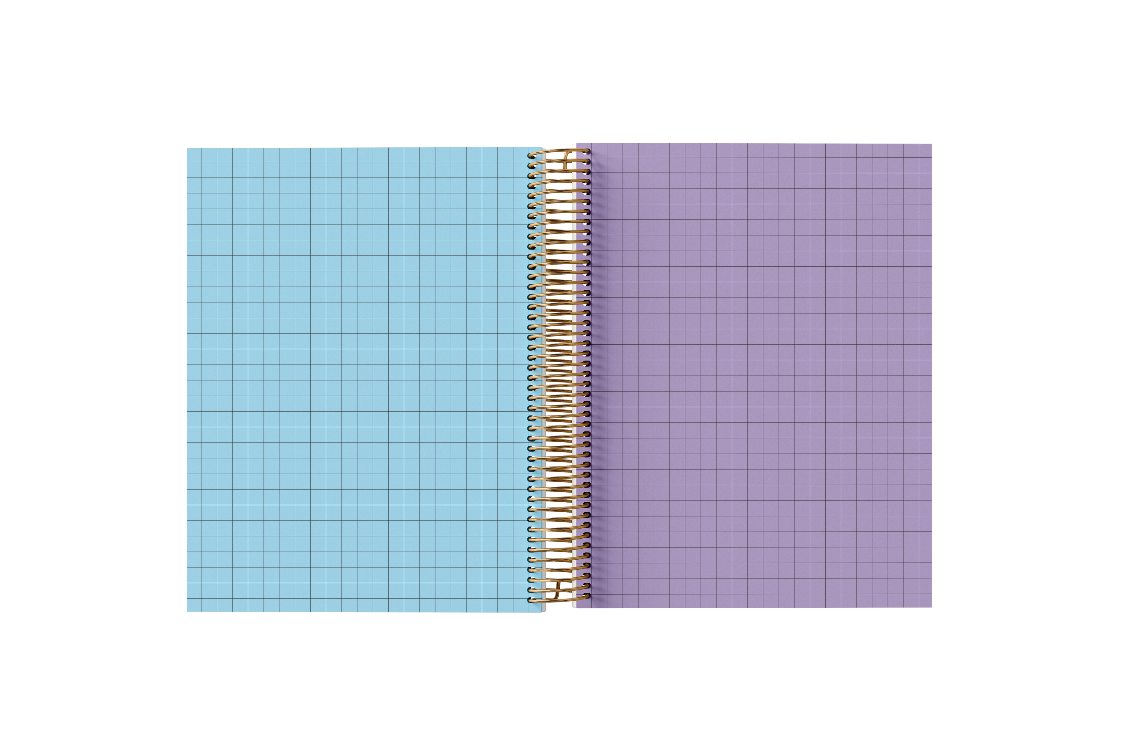 Graph Paper Holographic Notebook by BERTEAU & Co.