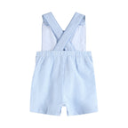 Blue Seersucker Bunny Shortalls
