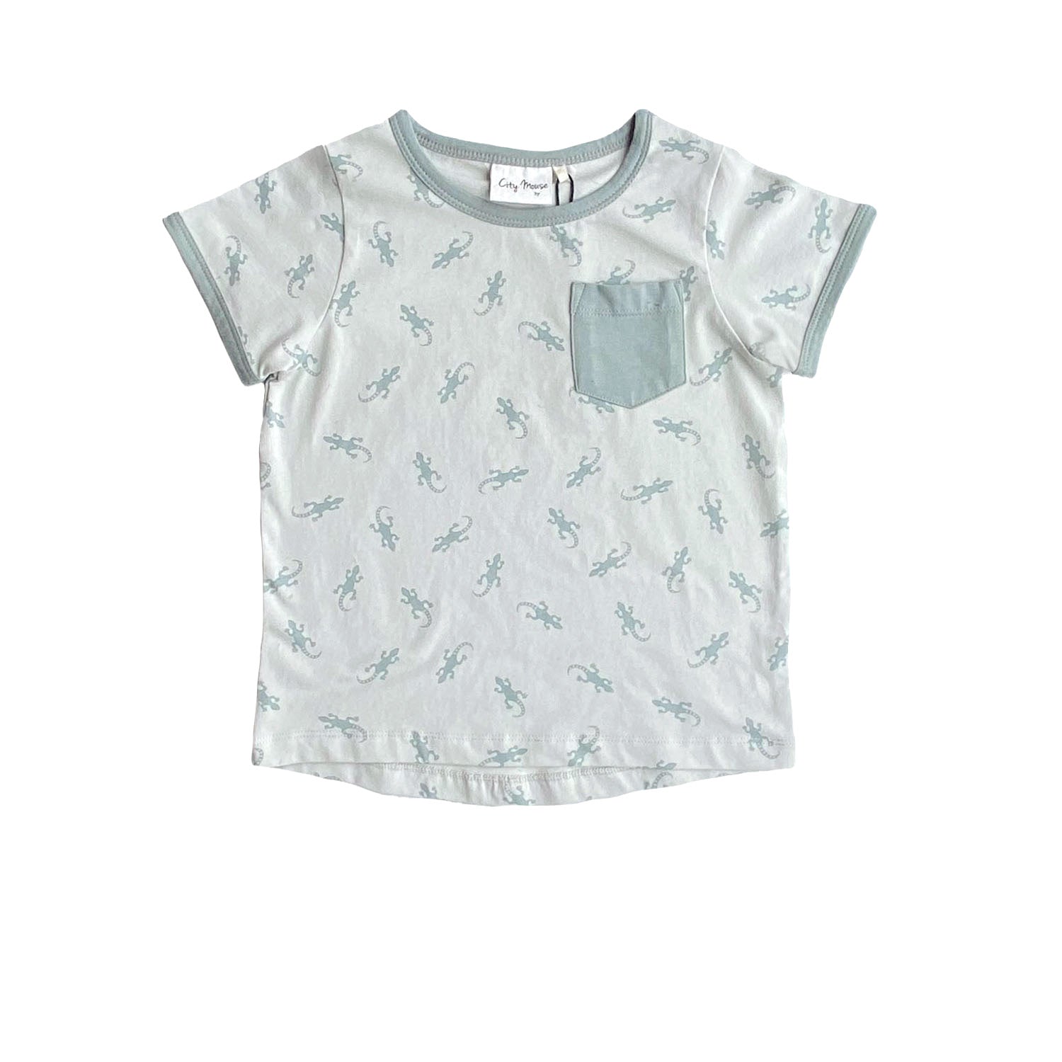 Boys Gecko Jersey Pocket Tee - Blissfully Lavender BoutiqueCity Mouse