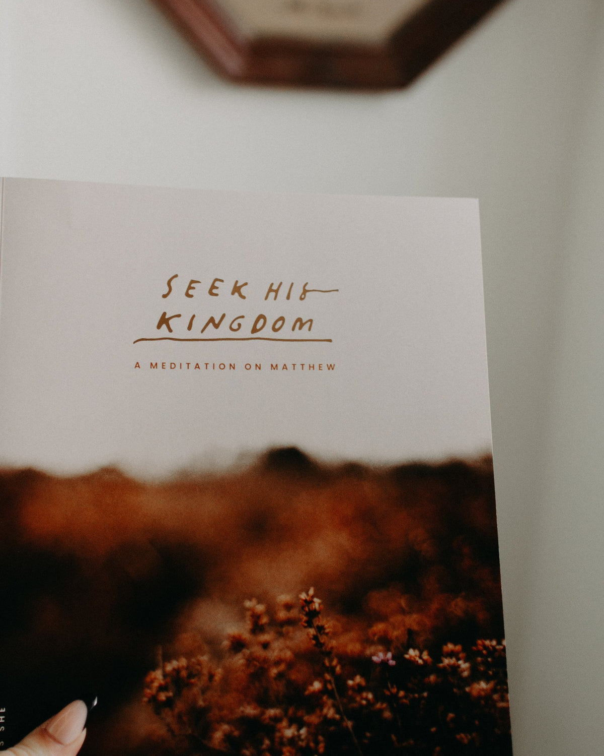 Catholic Bible Study: The Gospel of Matthew // Seek His Kingdom