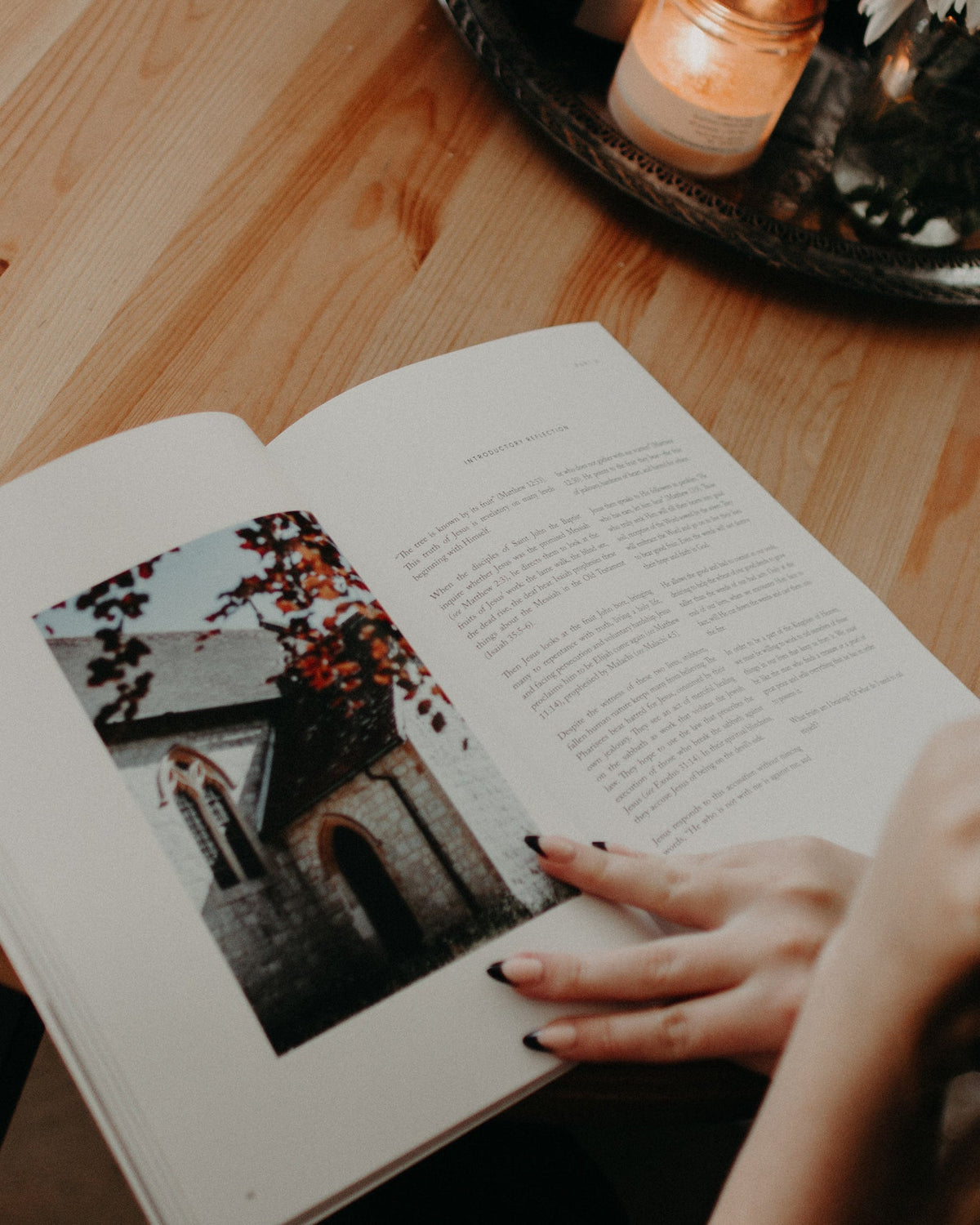 Catholic Bible Study: The Gospel of Matthew // Seek His Kingdom