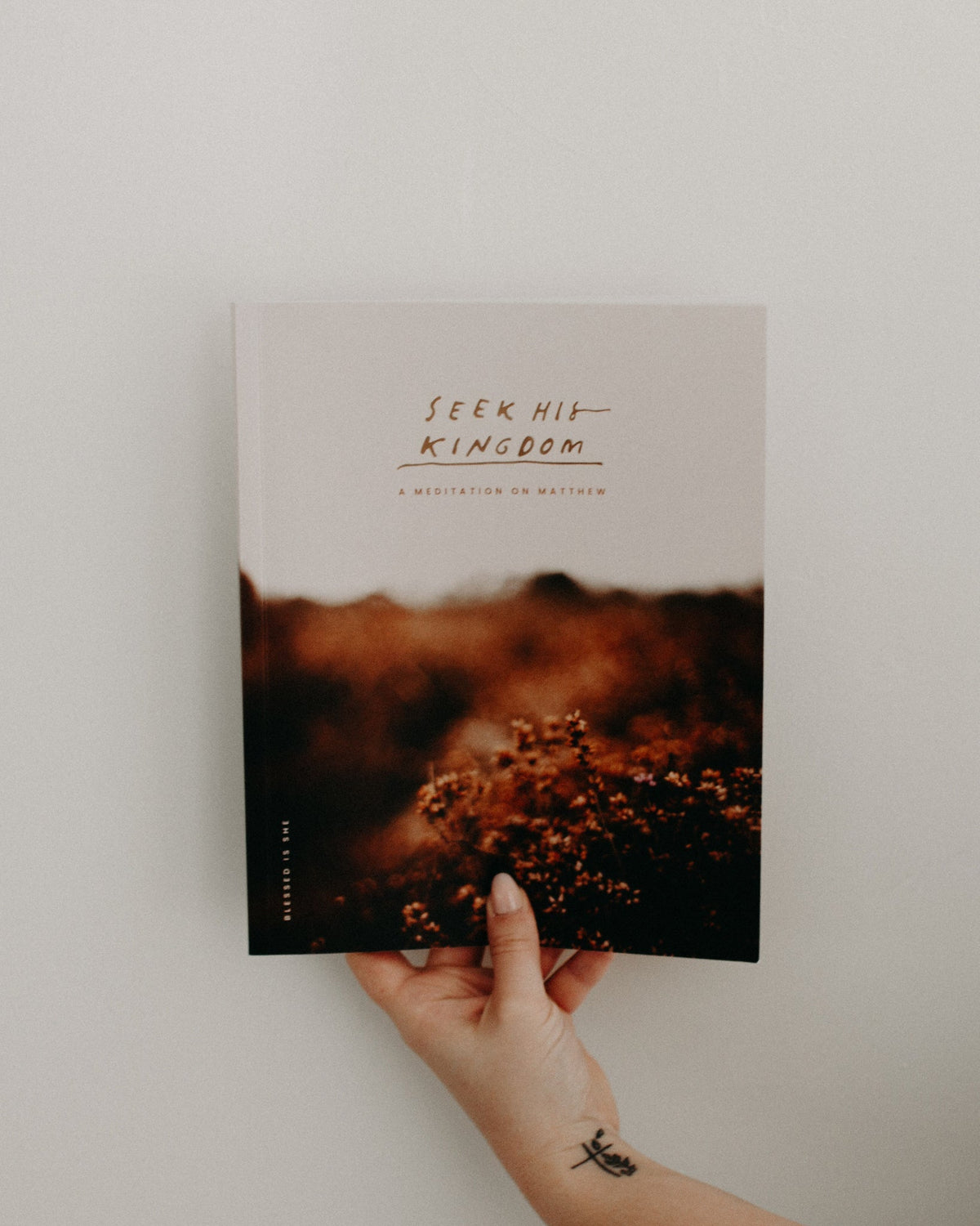 Catholic Bible Study: The Gospel of Matthew // Seek His Kingdom