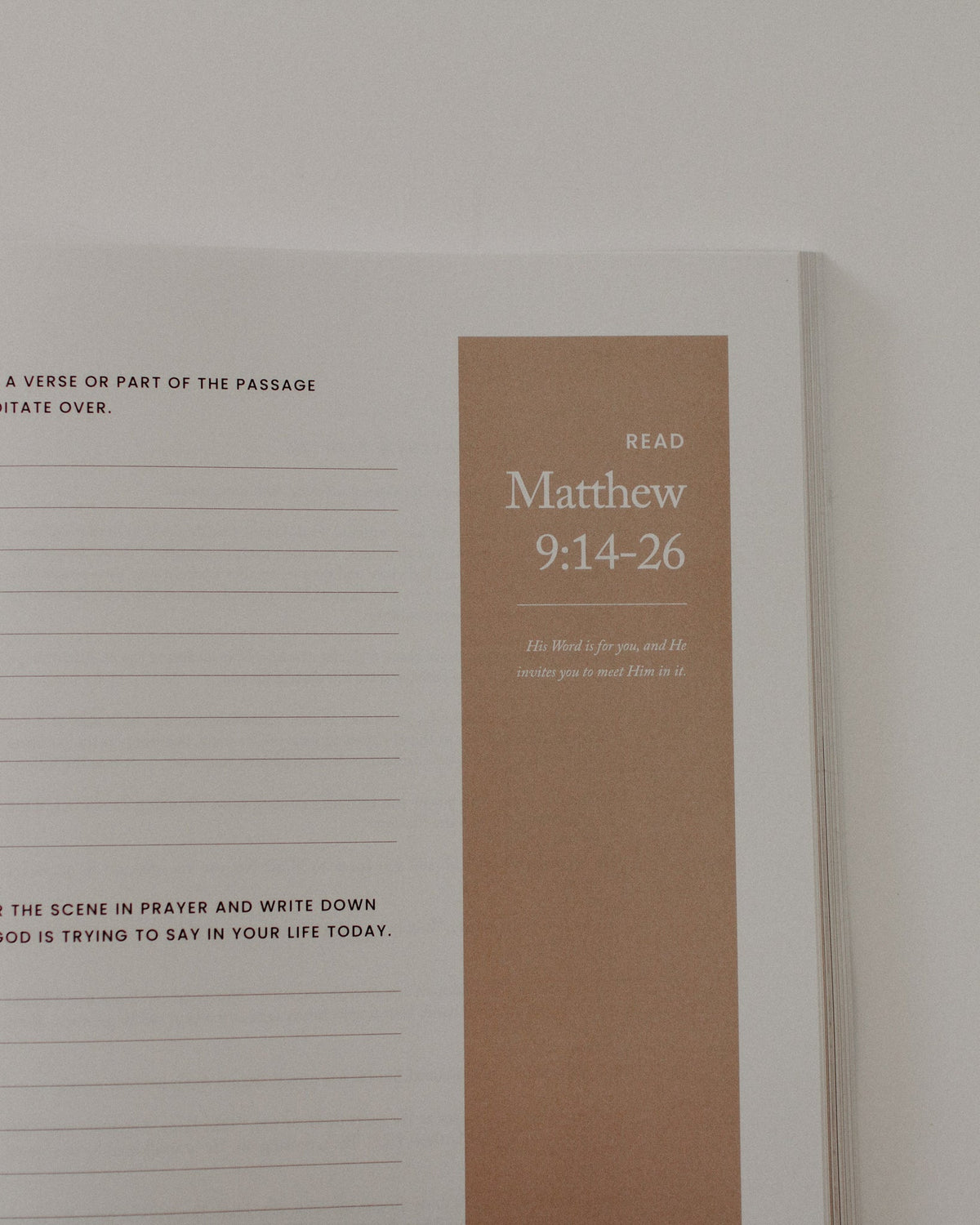 Catholic Bible Study: The Gospel of Matthew // Seek His Kingdom