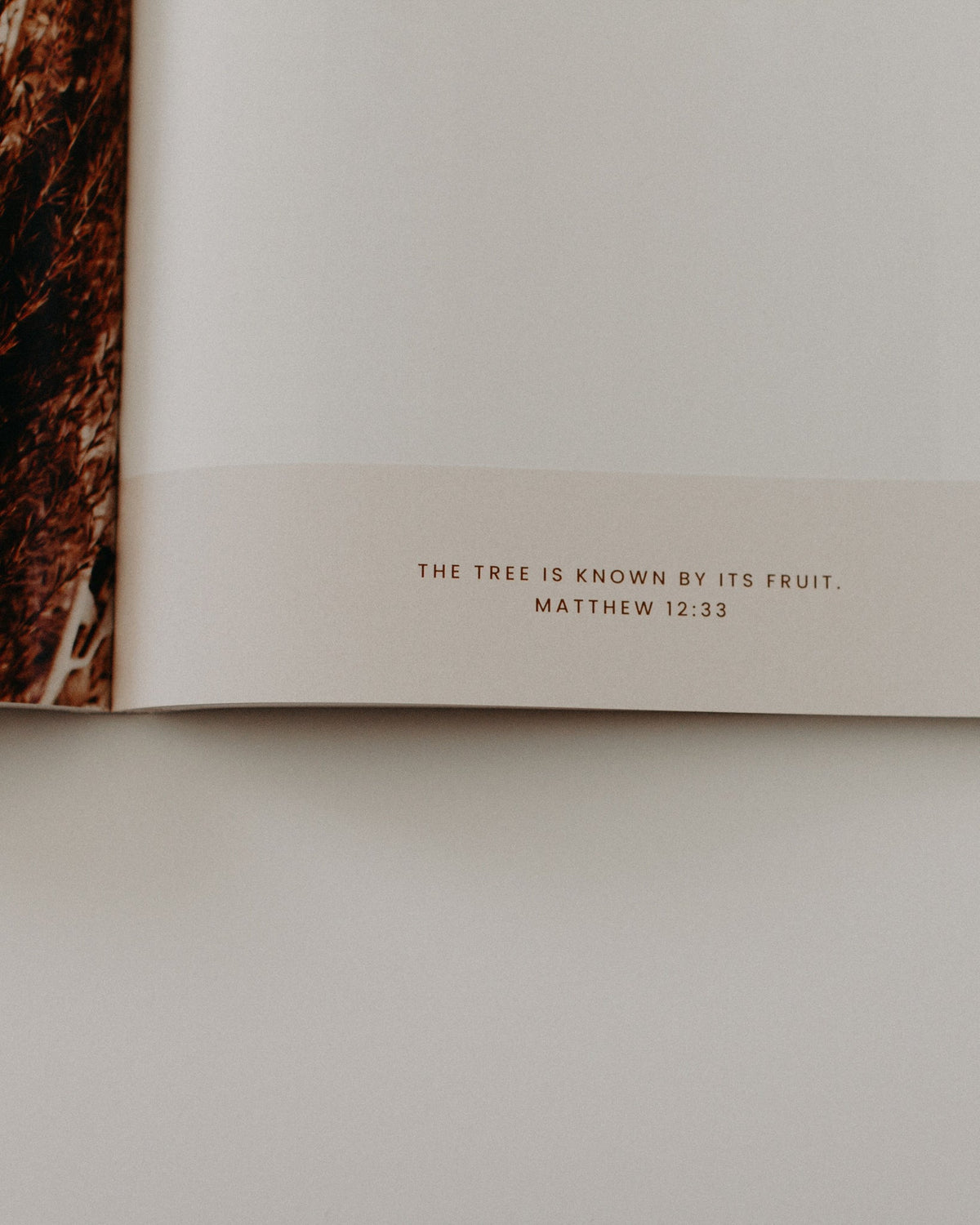 Catholic Bible Study: The Gospel of Matthew // Seek His Kingdom