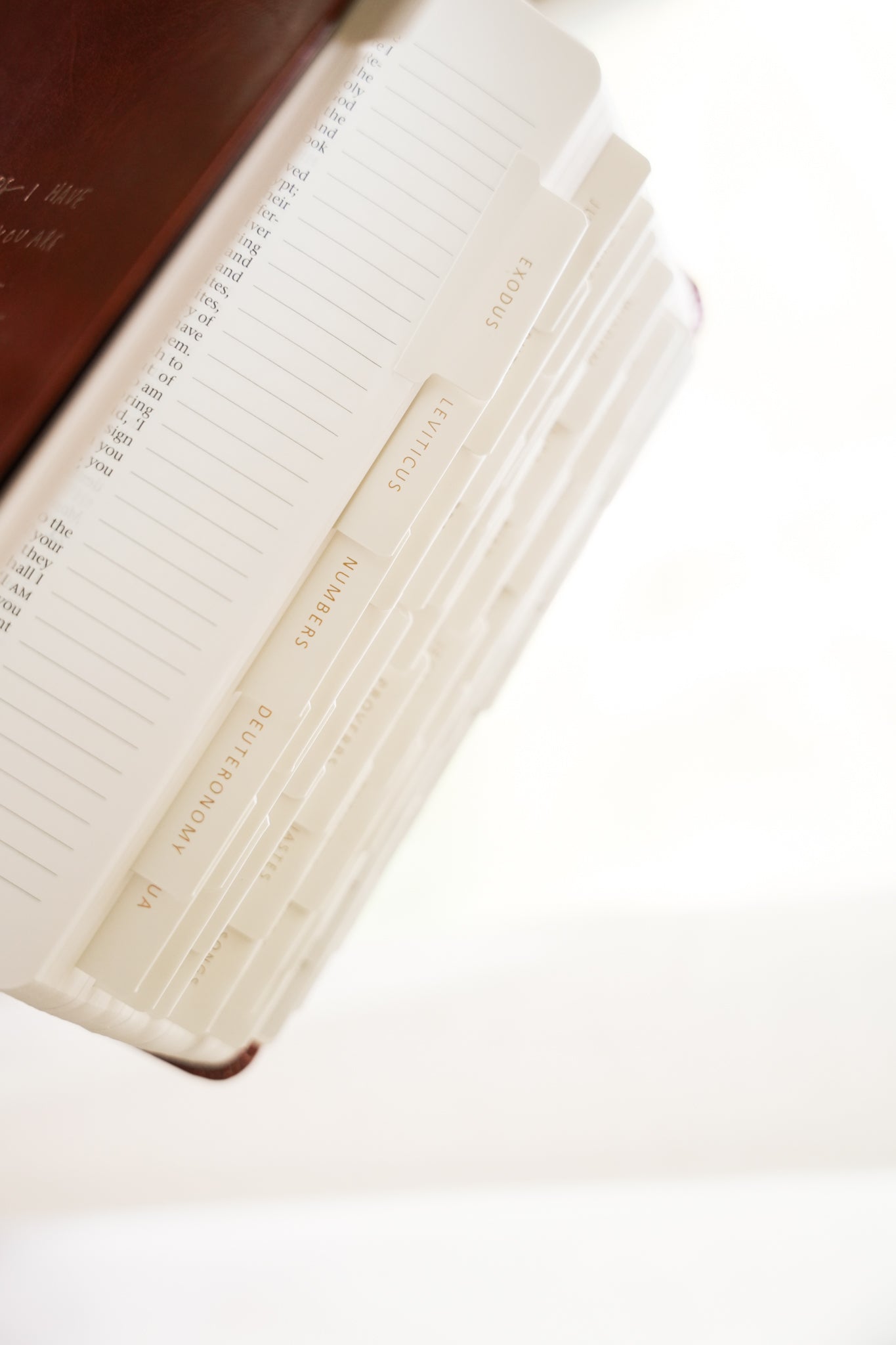 Catholic Bible Tabs – 73 Book Set - Blissfully Lavender BoutiqueBlessed Is She