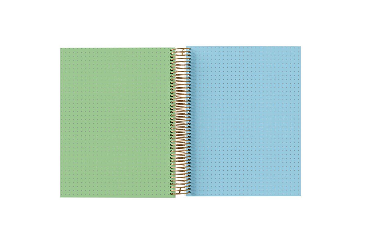 Dotted Grid Notebook - Holographic