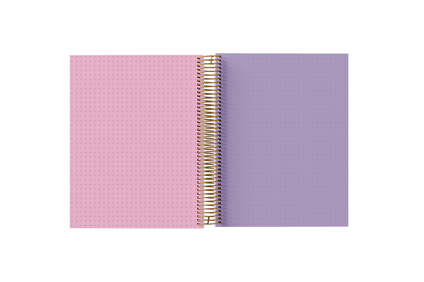 Dotted Grid Notebook - Holographic