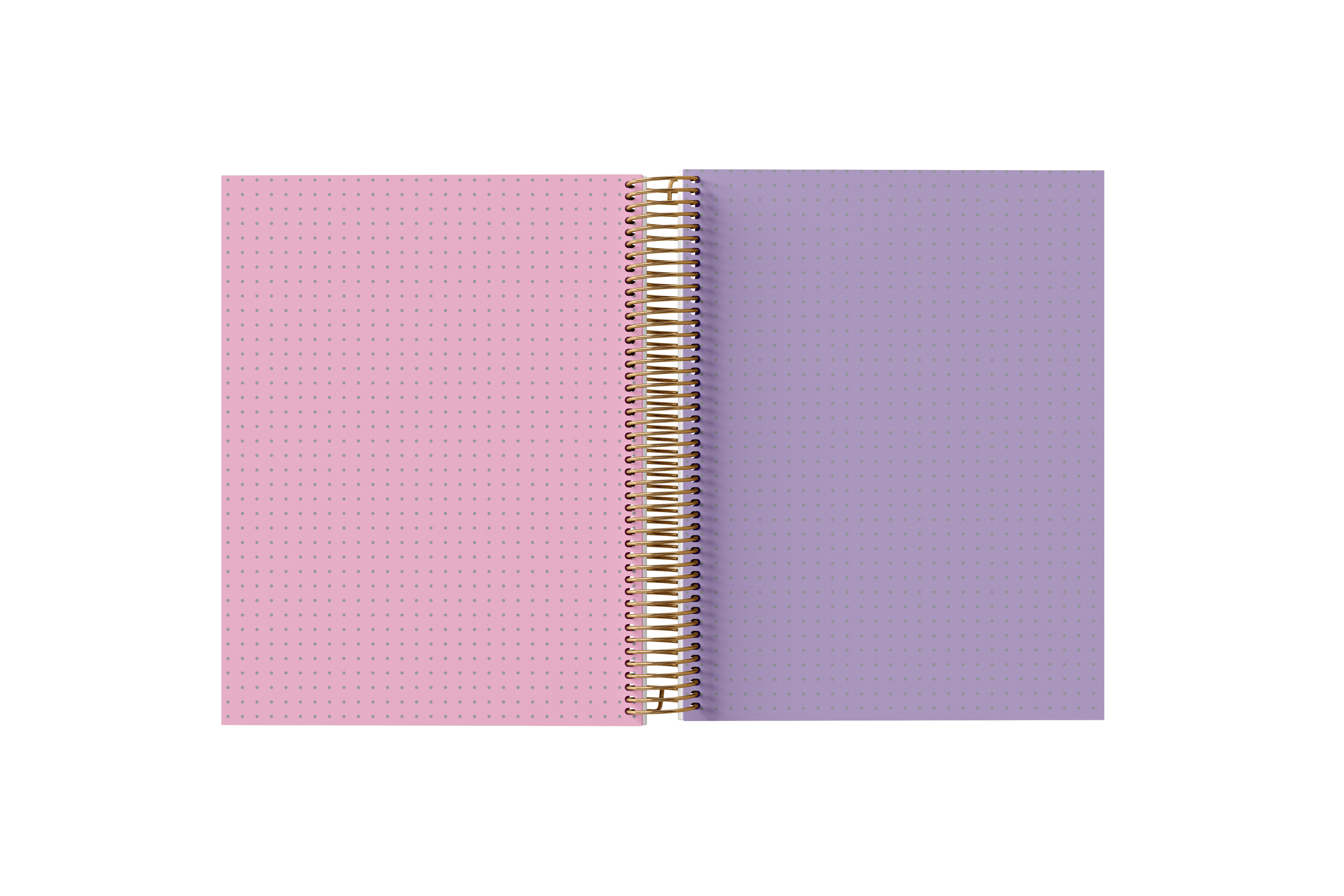 Dotted Grid Paper Holographic Notebook by BERTEAU & Co.
