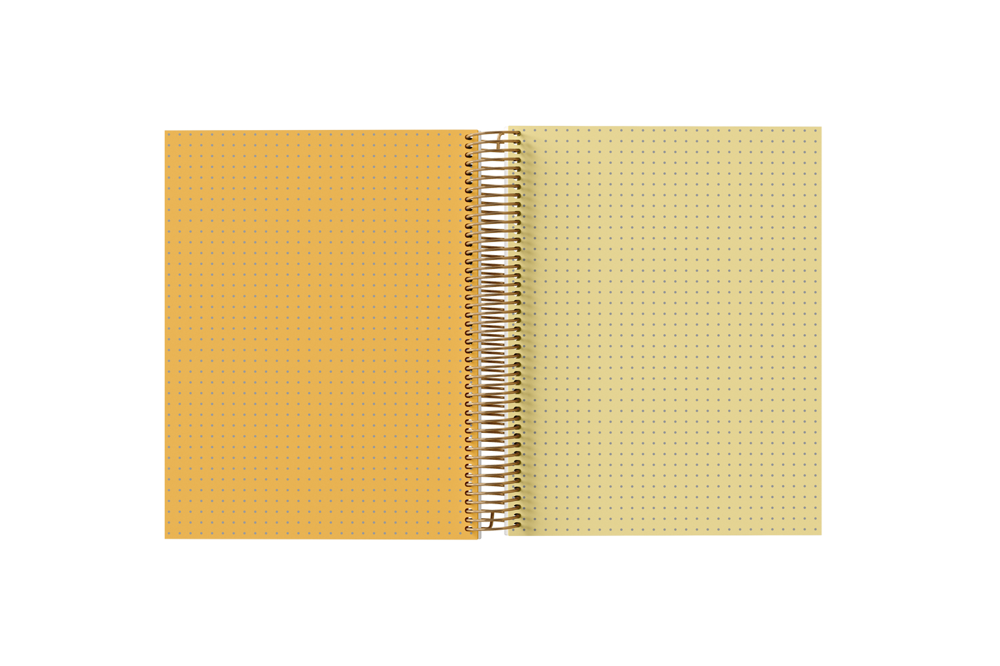 Dotted Grid Notebook - Holographic